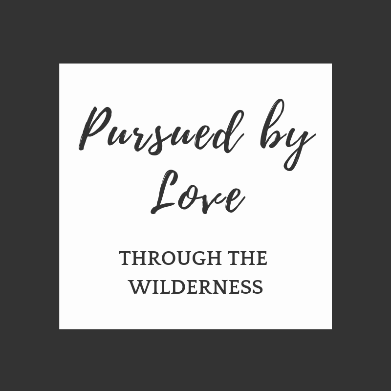 Pursued By Love Through the Wilderness