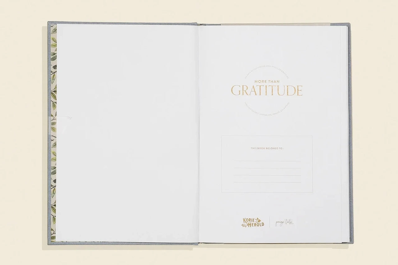 More Than Gratitude: A Christian Guided Journal