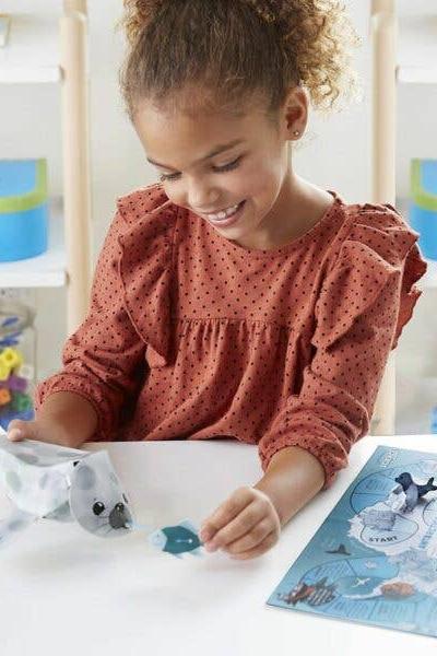 Create + Play: Seal