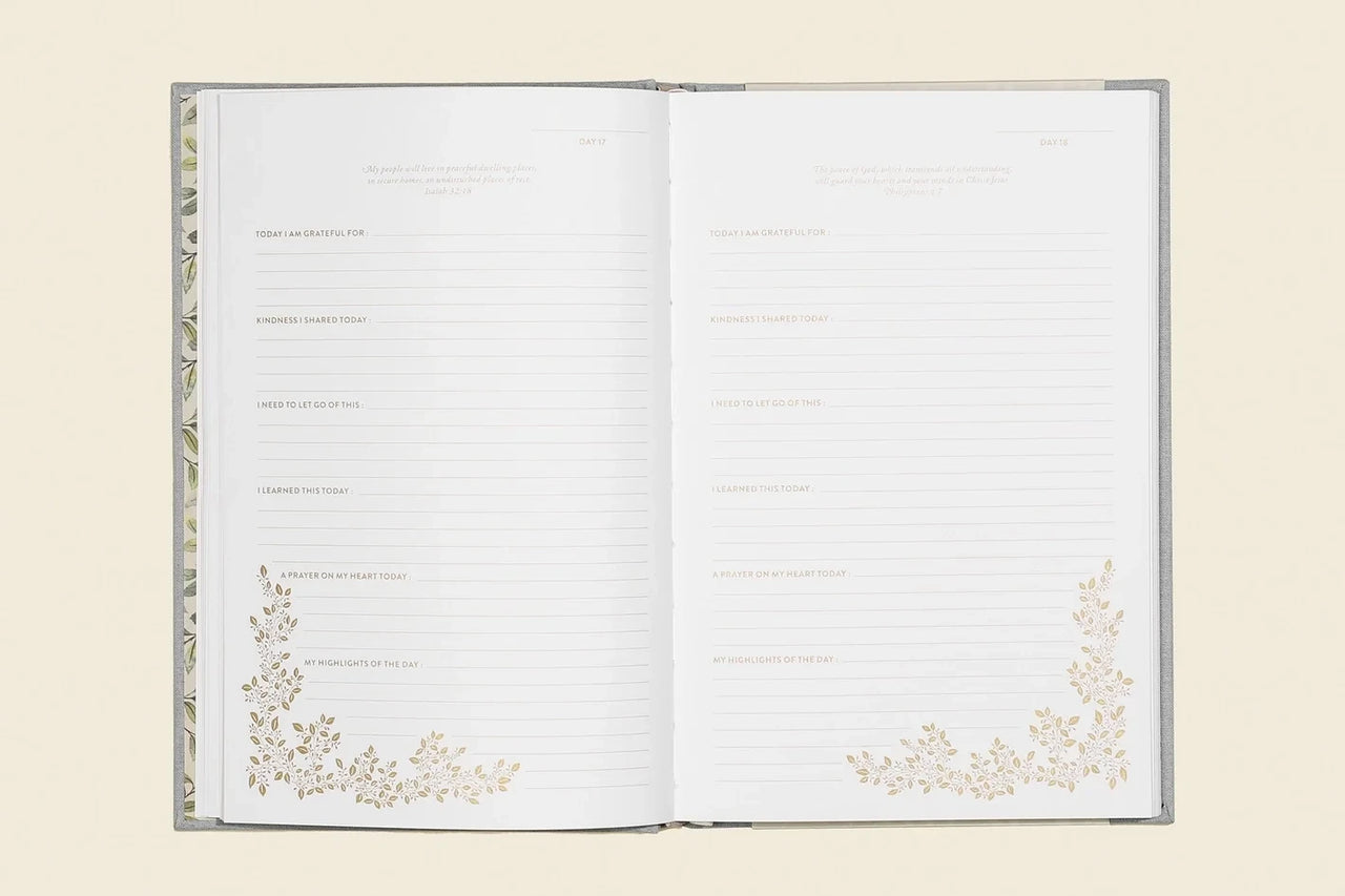 More Than Gratitude: A Christian Guided Journal
