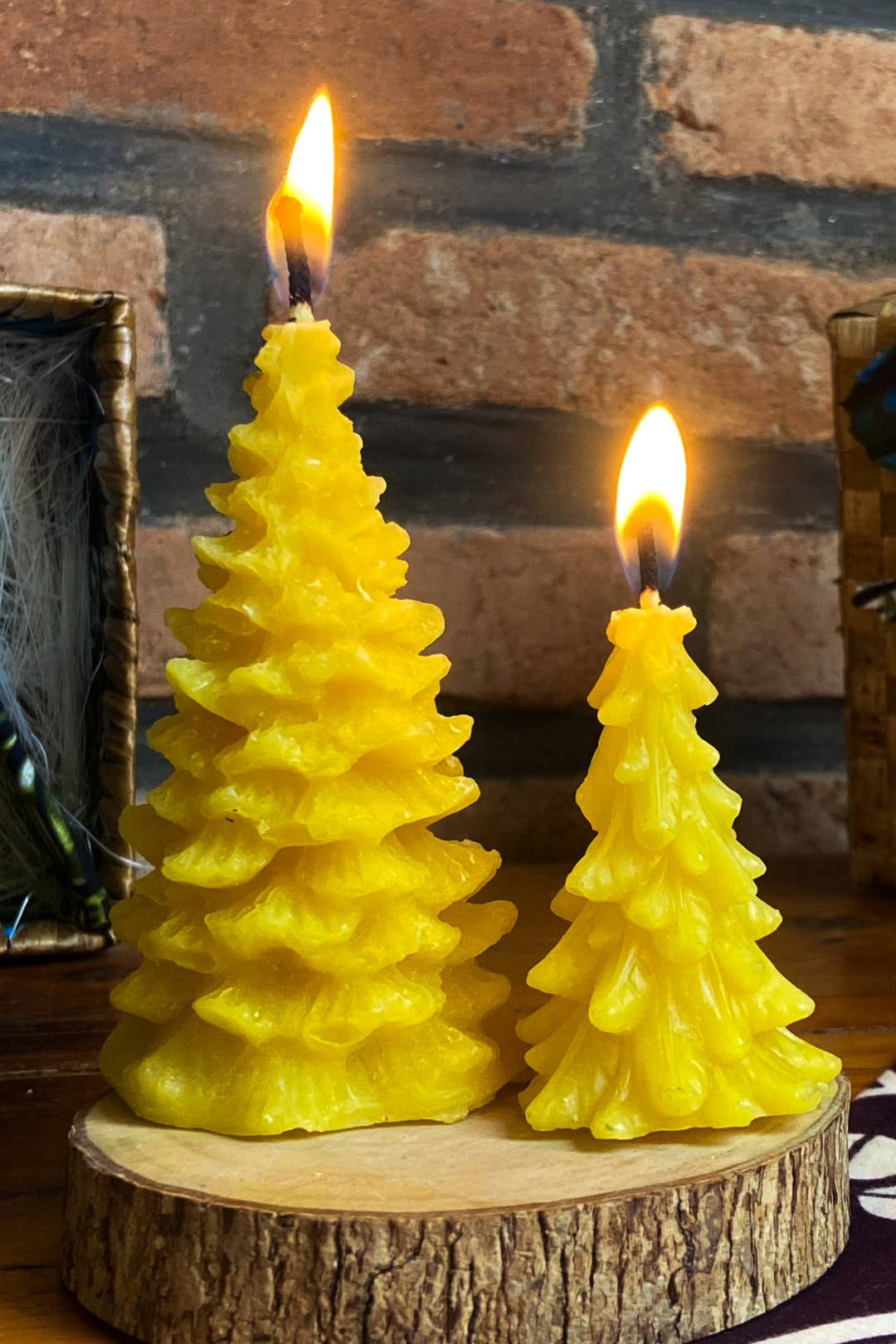 Pine Tree Candle Gift Set