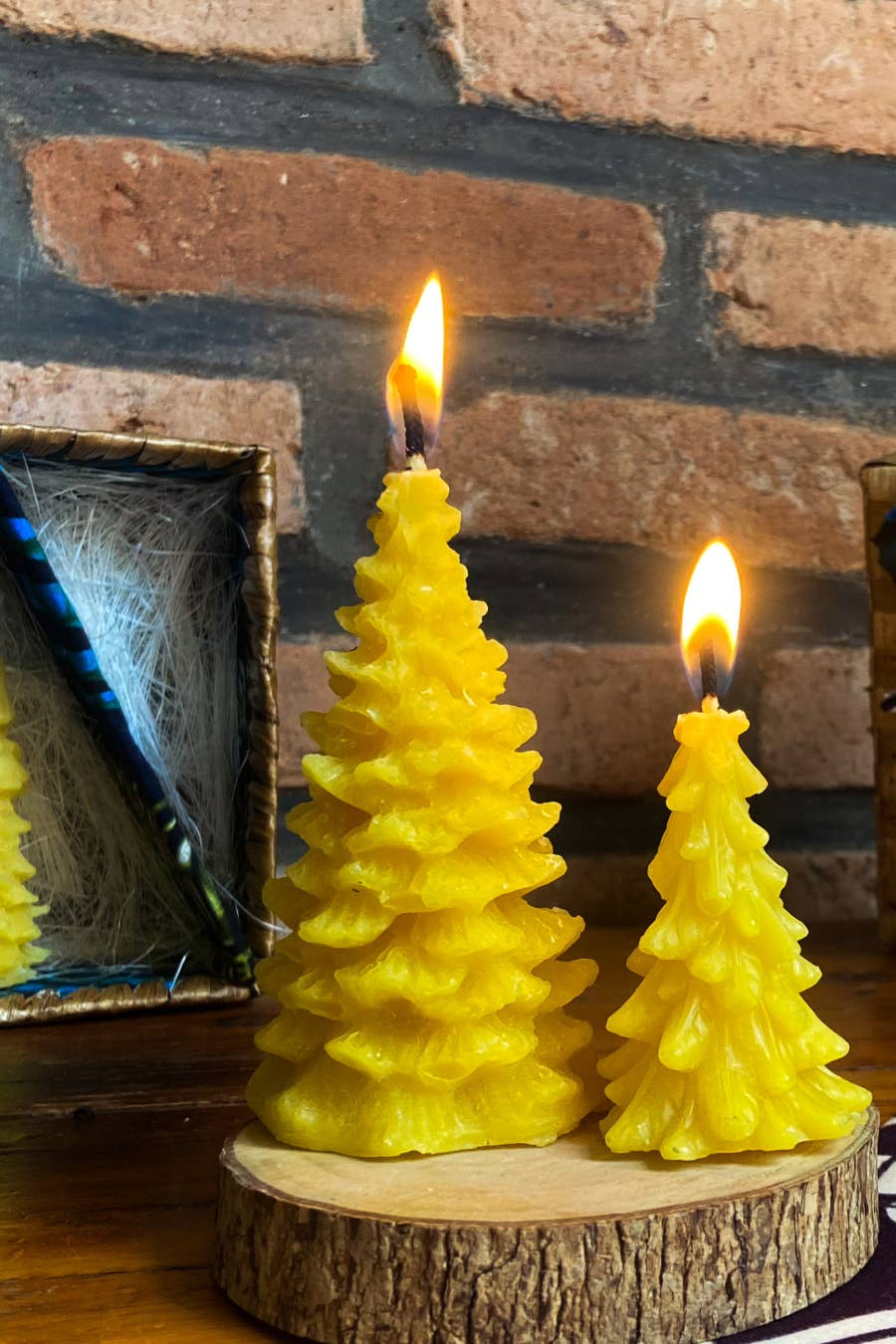 Pine Tree Candle Gift Set