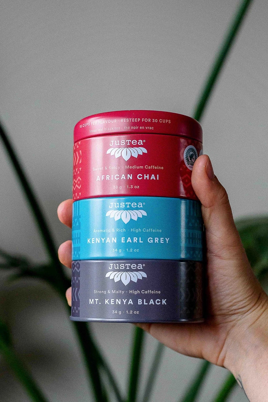 JusTea Trio Tin & Spoon Set