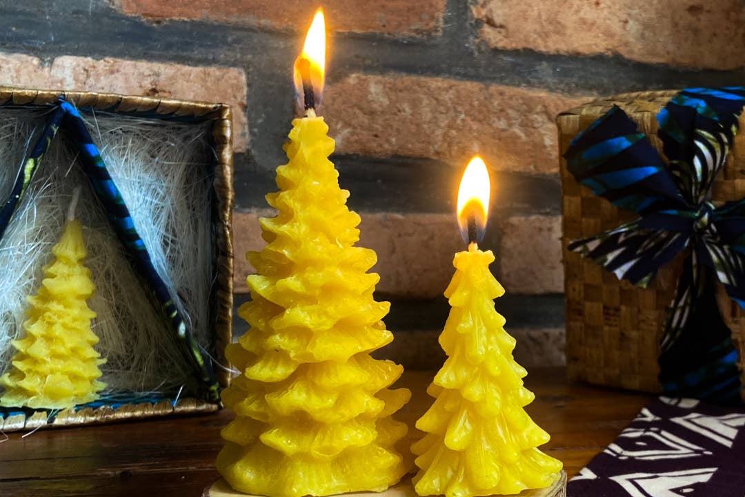 Pine Tree Candle Gift Set