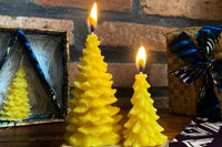 Thumbnail for Pine Tree Candle Gift Set