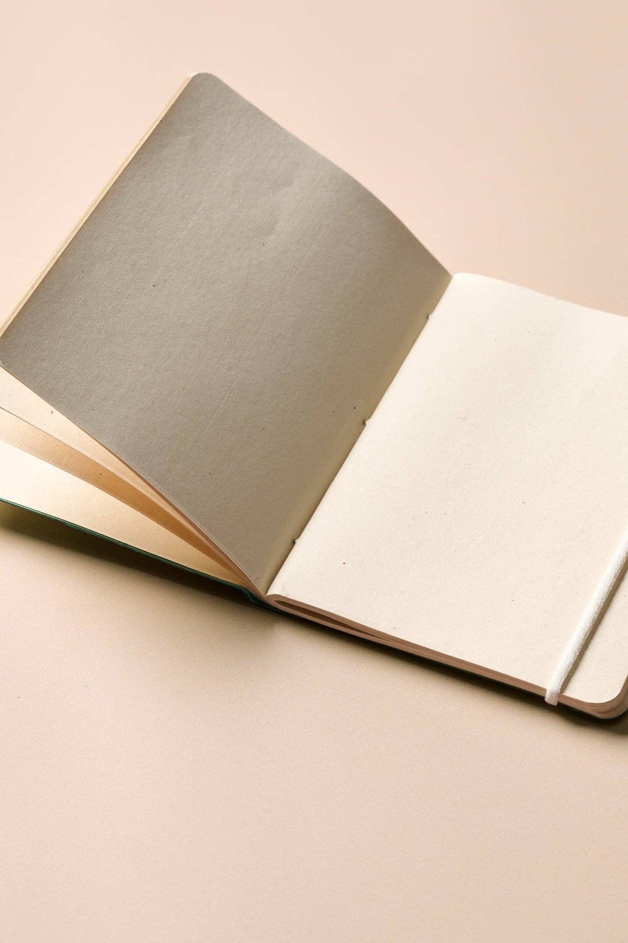 Aahna Metallic Journal