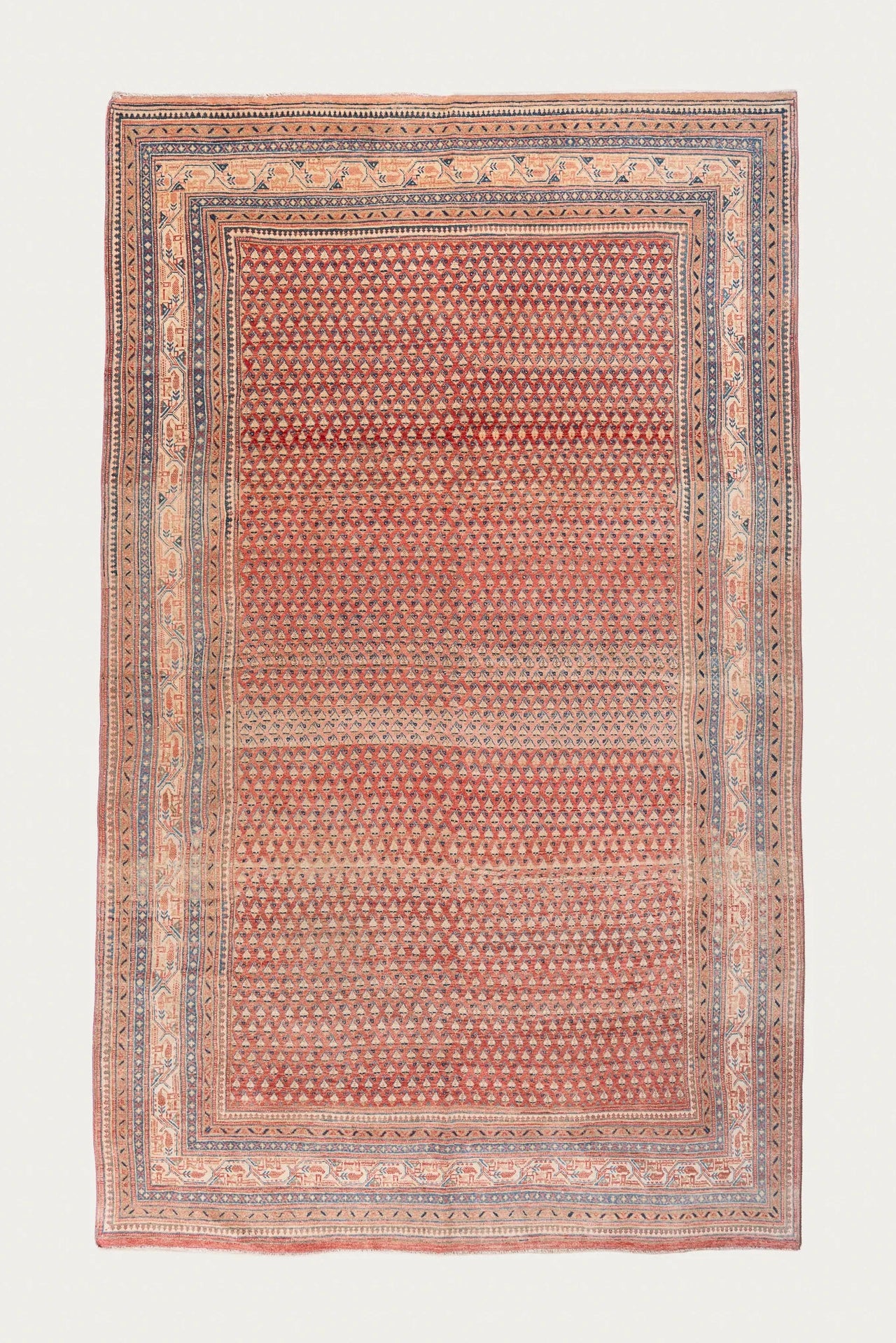 Cherry Pick Carpet 6'6" x 10'5"