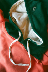 Thumbnail for Colorblock Hooded Sweatshirt