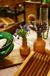 Thumbnail for Terracotta Vases