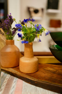 Thumbnail for Terracotta Vases