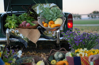 Thumbnail for De Sol Basket