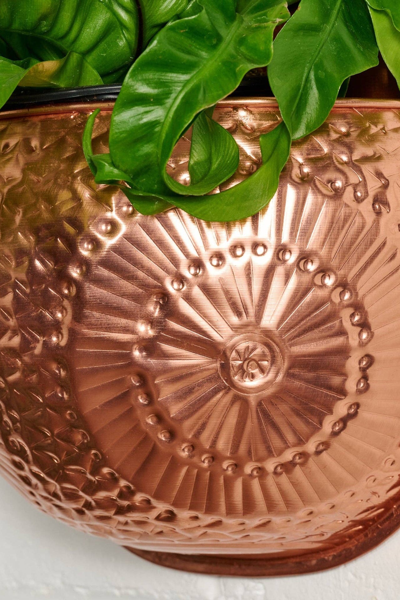 Dekhava Embossed Wall Planter