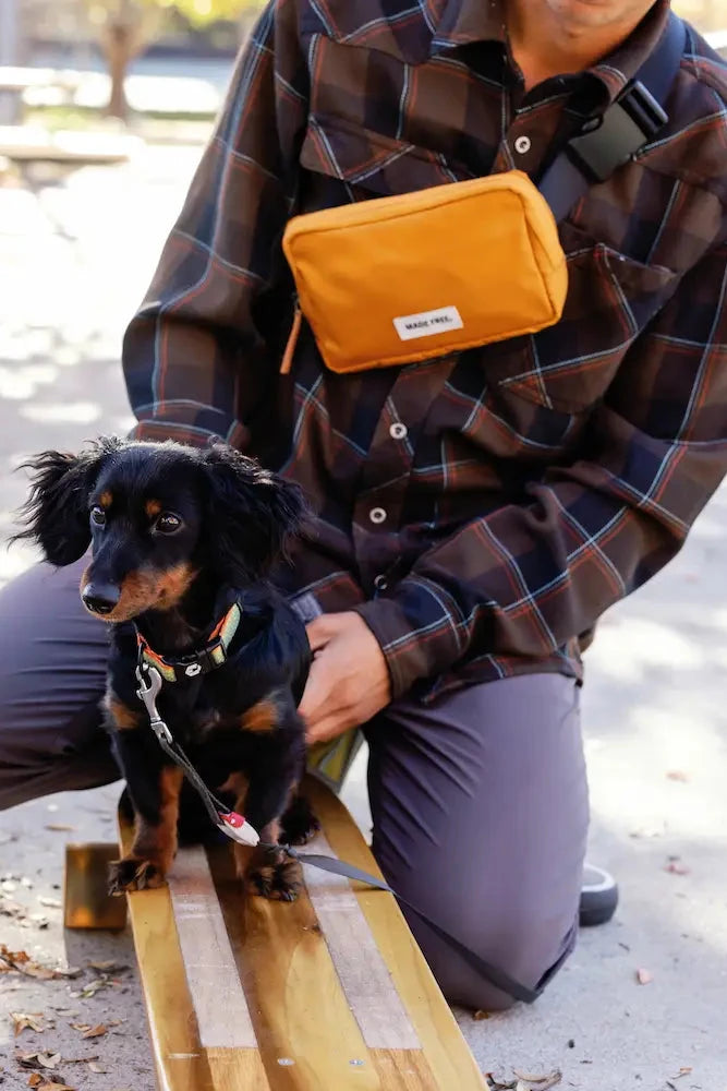 Hip Pack