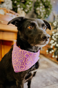 Thumbnail for Dog Bandana