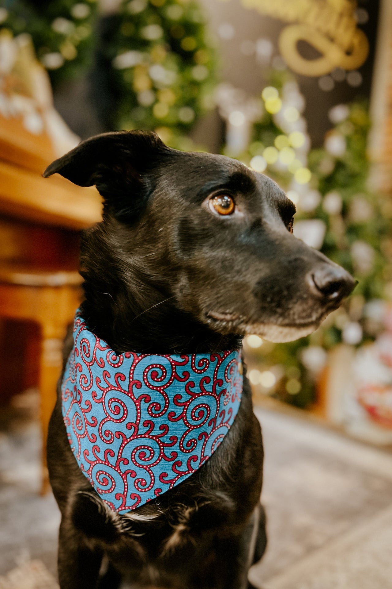 Dog Bandana