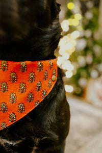 Thumbnail for Dog Bandana