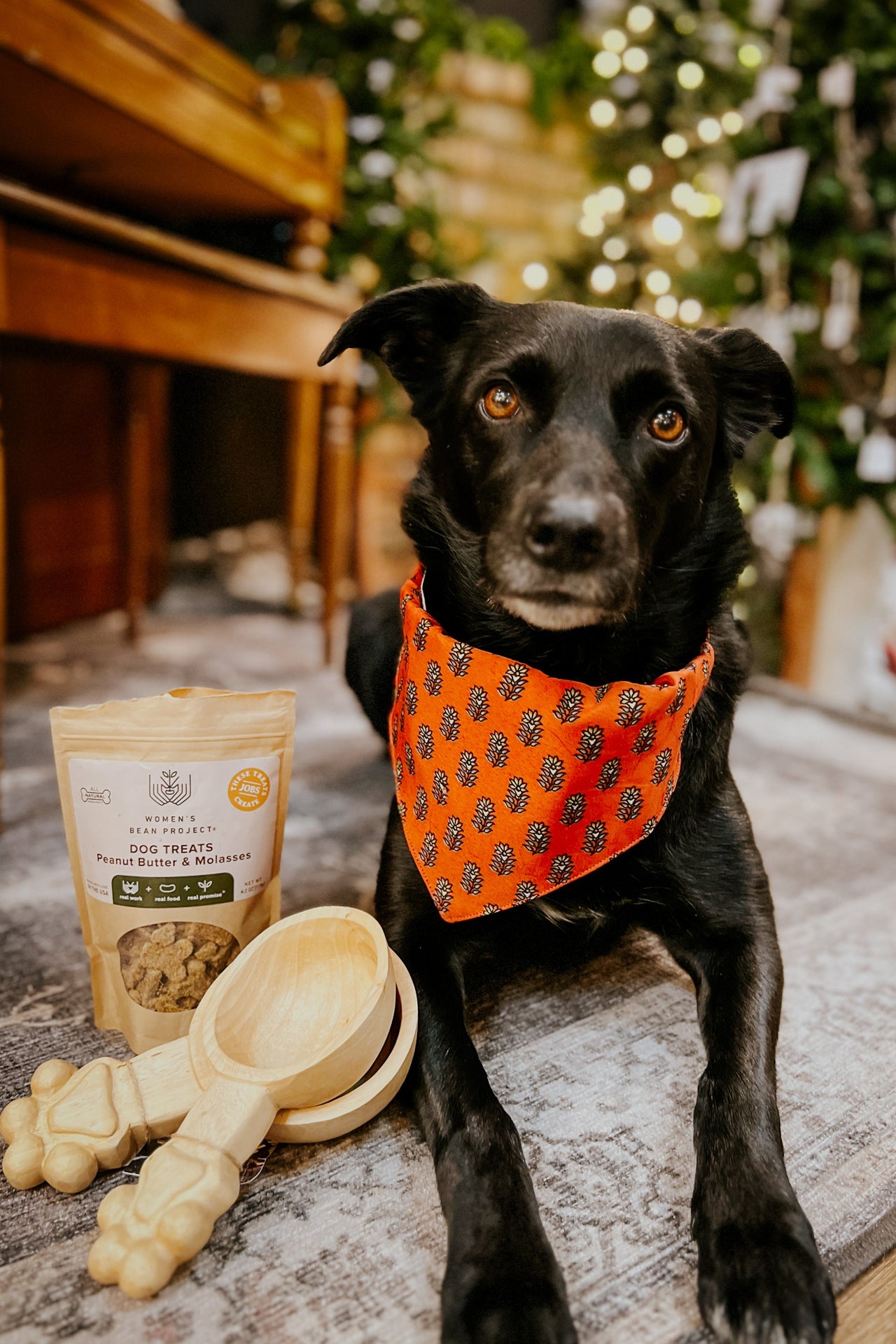 Peanut Butter & Molasses Dog Treats