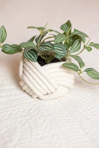 Thumbnail for Mini Unbound Planter