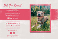 Thumbnail for Saree Pet Bandana