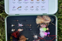 Thumbnail for Picky Trout Assortment - 18 Pack