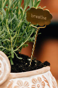 Thumbnail for Plant Markers