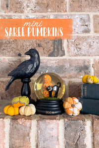 Thumbnail for Saree Pumpkins