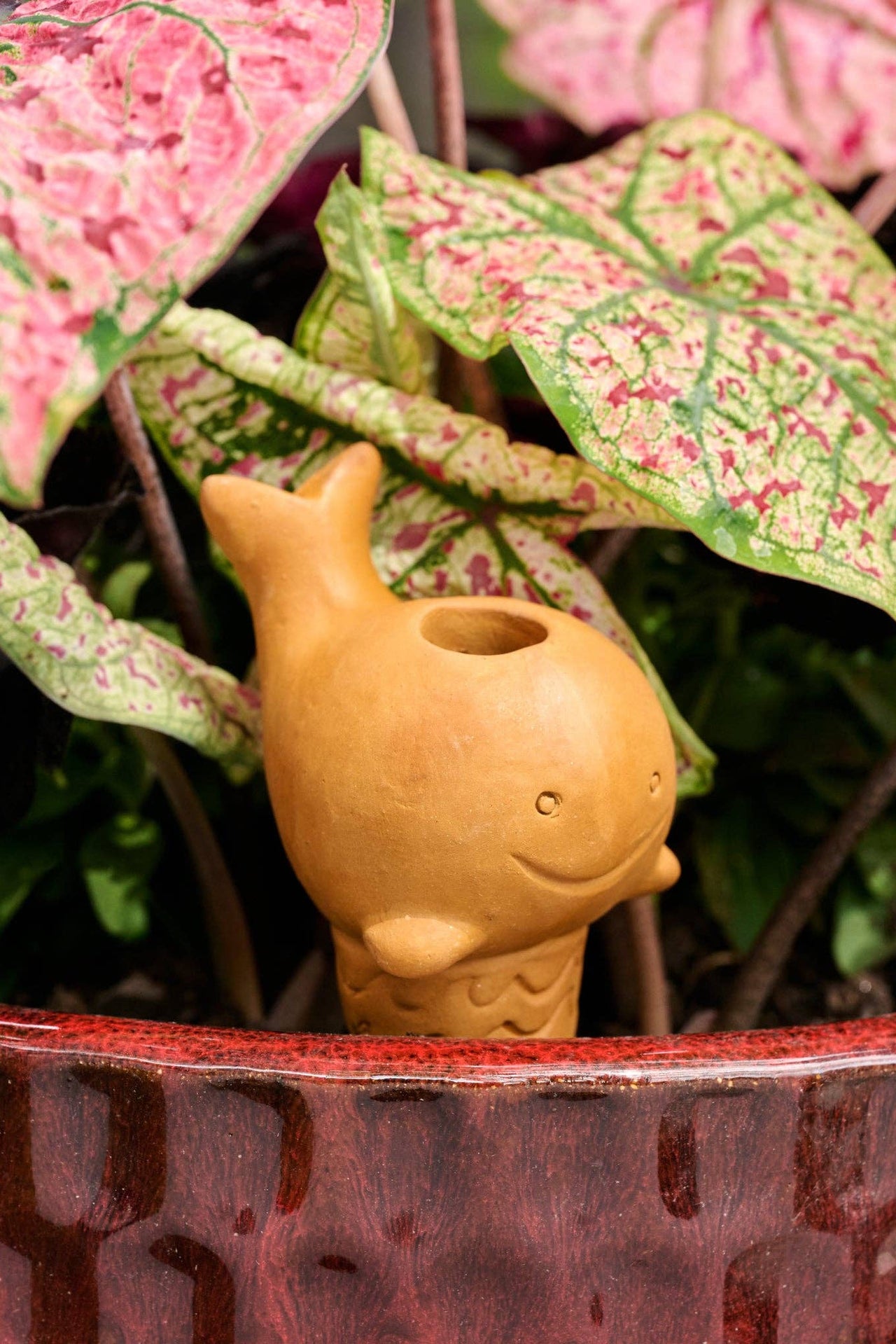 Self Watering Plant Pet