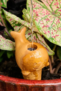 Thumbnail for Self Watering Plant Pet