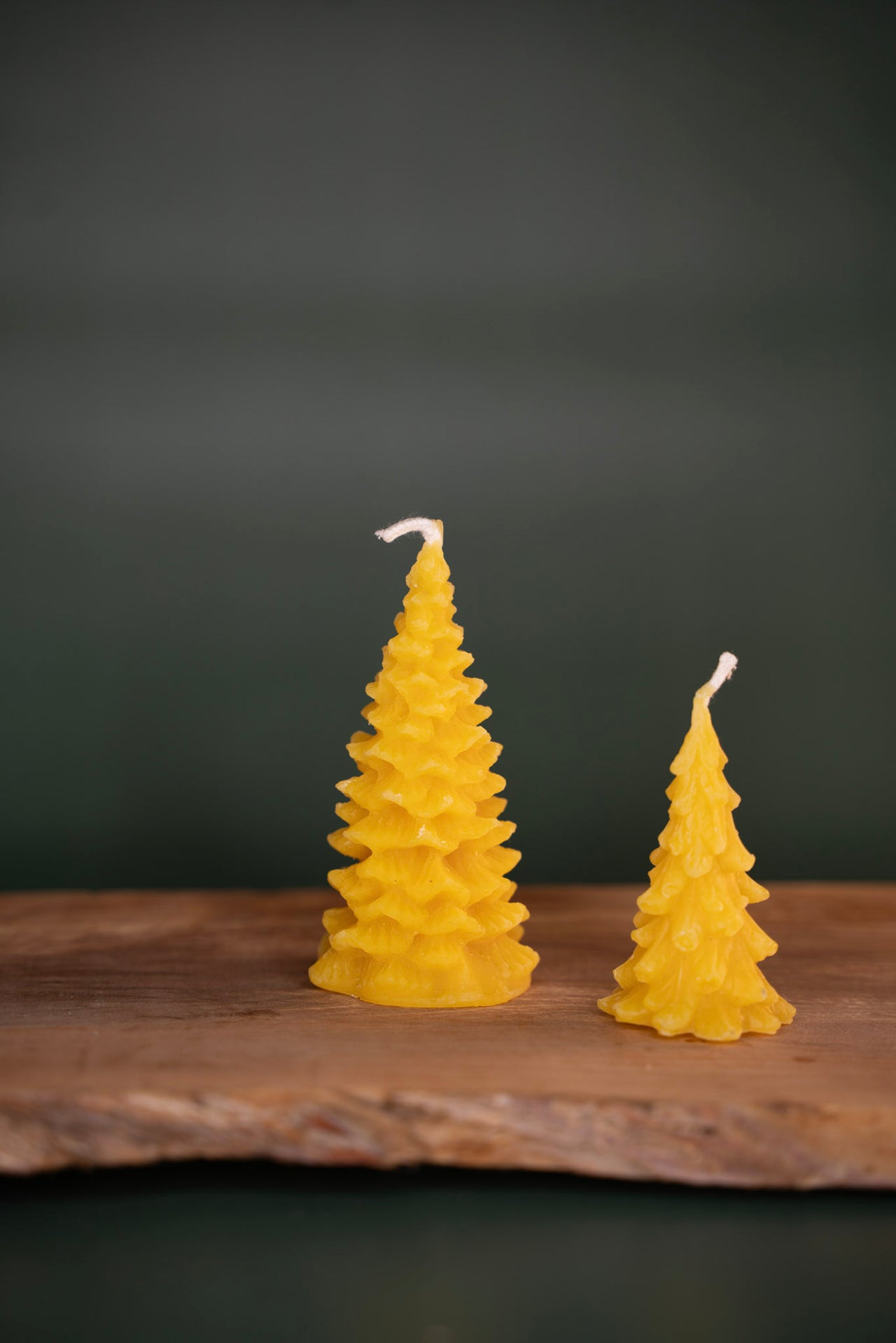 Pine Tree Candle Gift Set