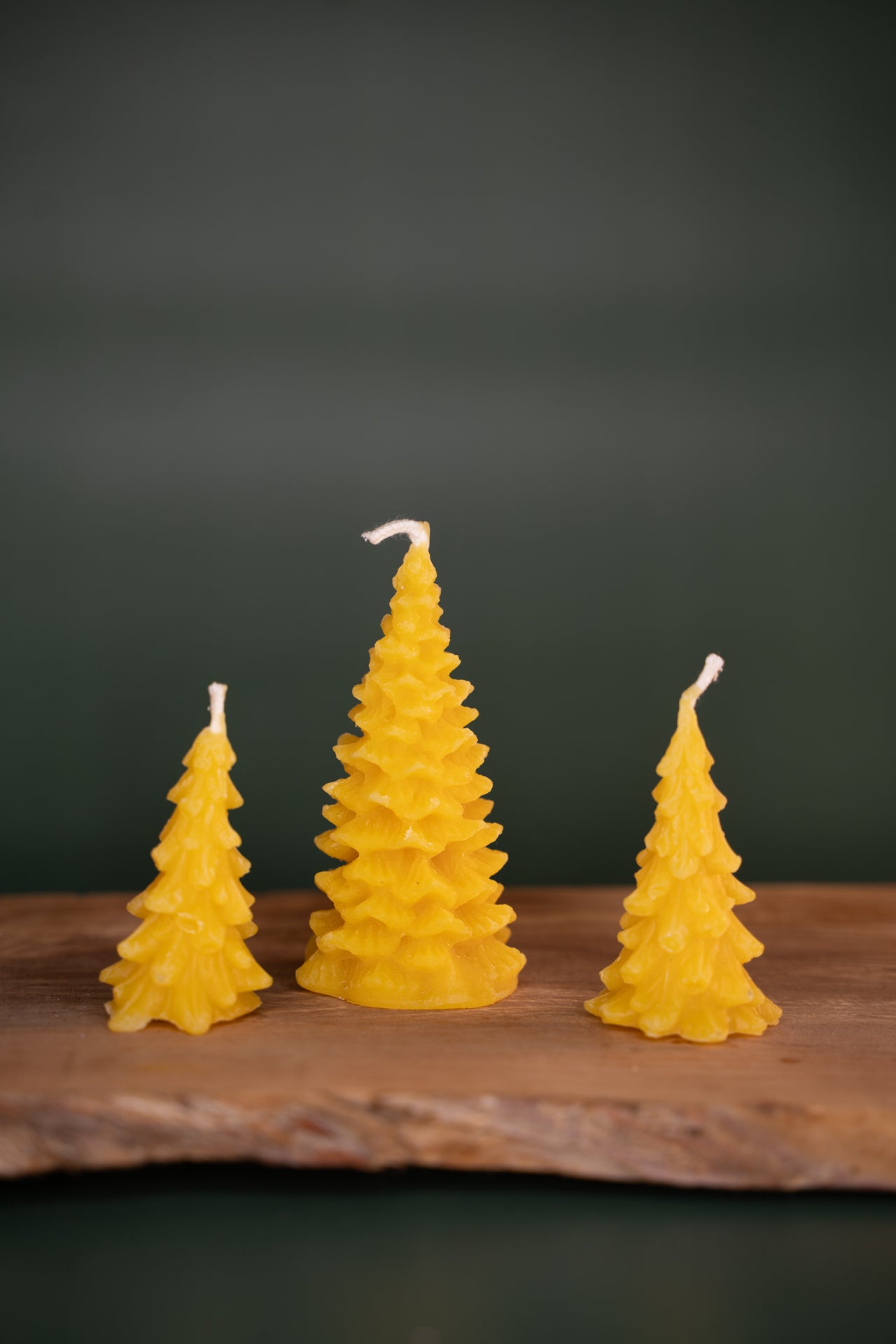 Pine Tree Candle Gift Set