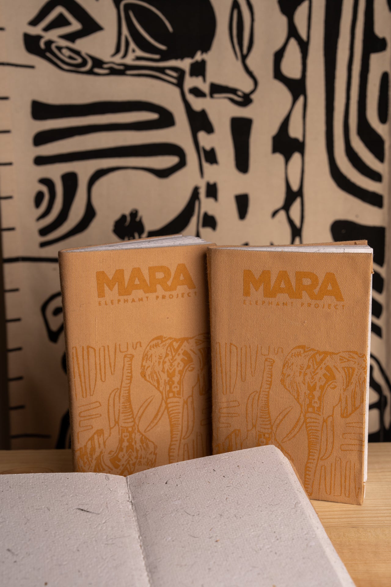 MEP Basecamp Field Journal