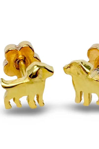Thumbnail for Tiny Stud Earrings
