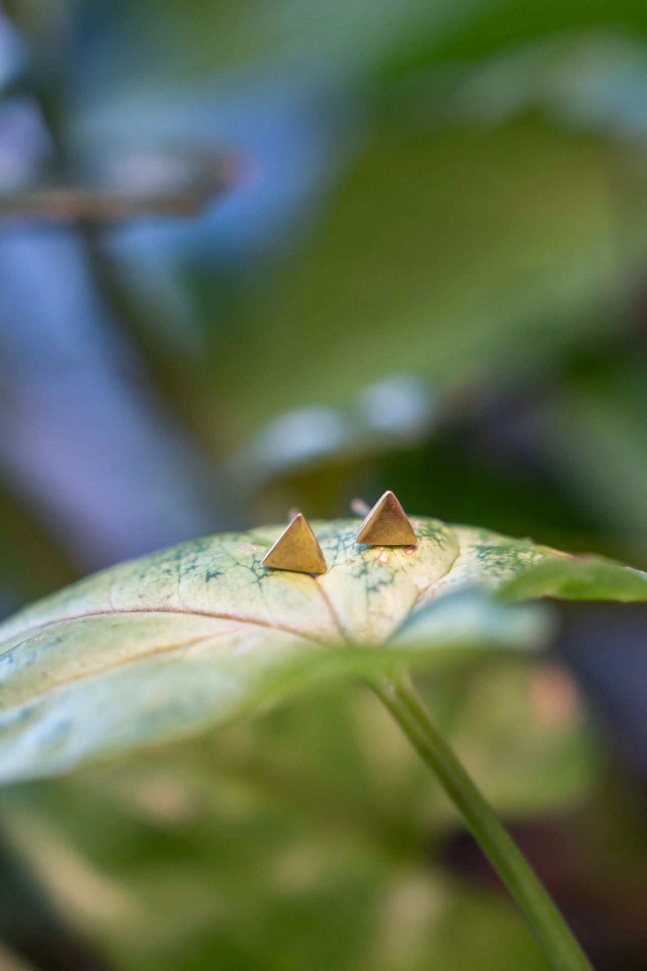 Tiny Studs -  Gold