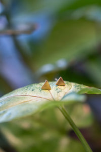 Thumbnail for Tiny Studs -  Gold