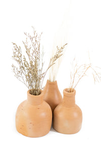 Thumbnail for Terracotta Vases