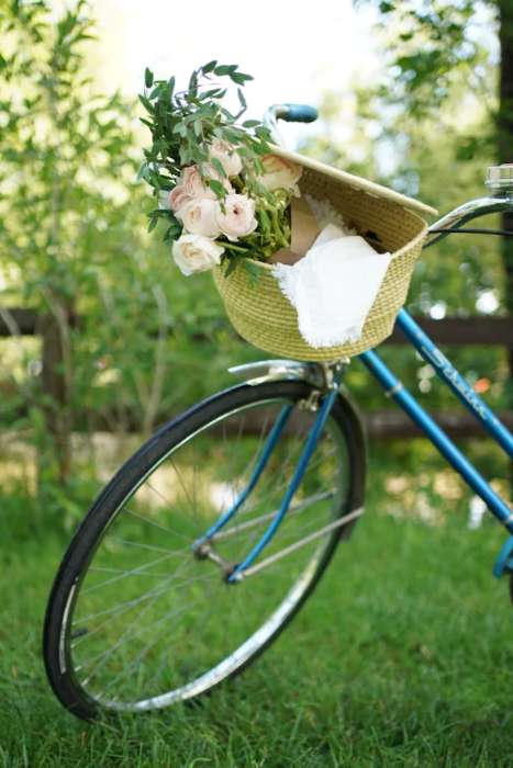 Isla bike basket sale
