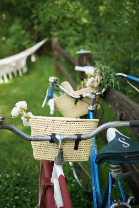 cool bike baskets