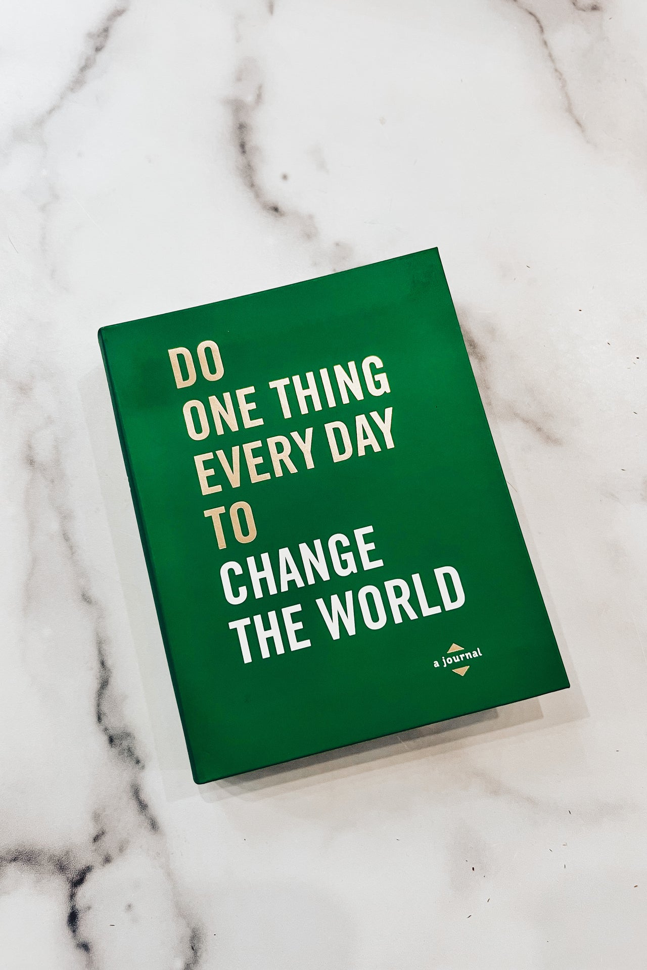 Do One Thing Every Day To Change The World Journal