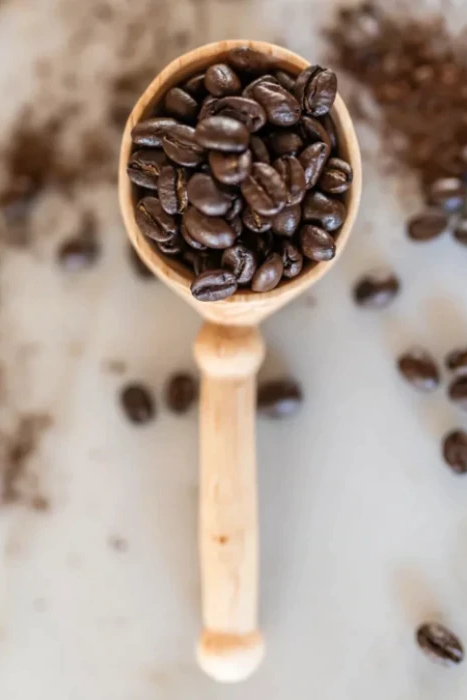Gentry Coffee Scoop