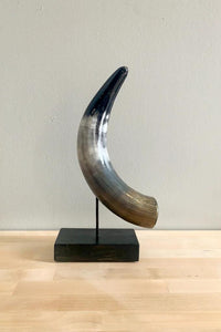 Thumbnail for Decorative Horns
